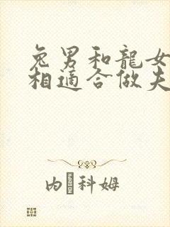 兔男和龙女的属相适合做夫妻吗