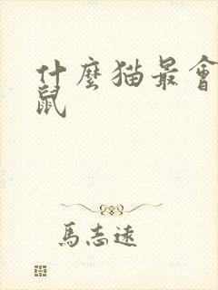 什么猫最会抓老鼠