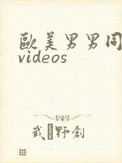欧美男男同性恋videos