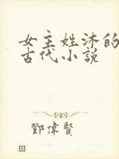 女主姓沐的重生古代小说