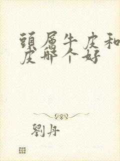 头层牛皮和植鞣皮哪个好封面