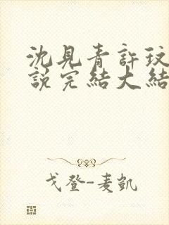 沈见青许玟玟小说完结大结局了吗