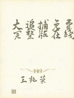 大追捕免费观看完整版在线全集