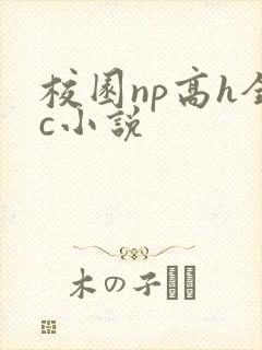 校园np高h全c小说