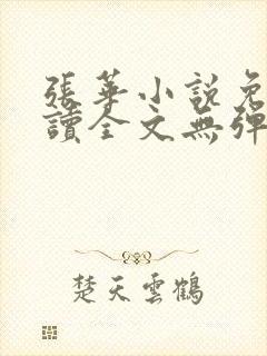 张华小说免费阅读全文无弹窗