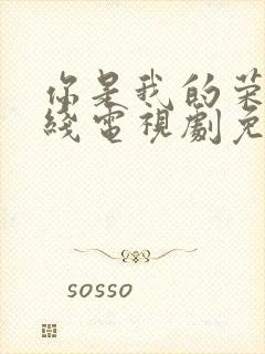 你是我的荣耀在线电视剧免费观看