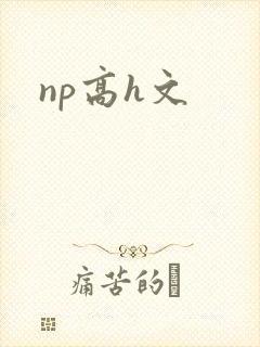 np高h文