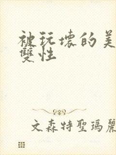 被玩坏的美人(双性