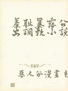 羞耻暴露公共露出调教小说