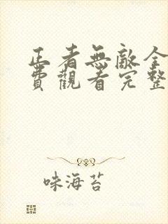 正者无敌全集免费观看完整版