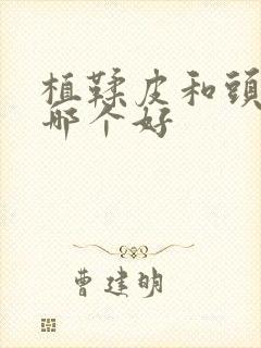 植鞣皮和头层皮哪个好