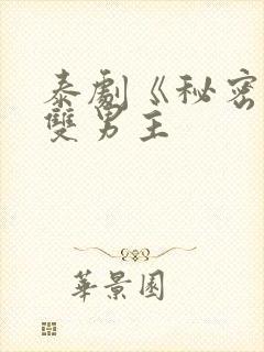 泰剧《秘密爱》双男主