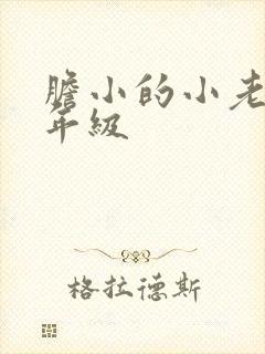 胆小的小老鼠二年级封面