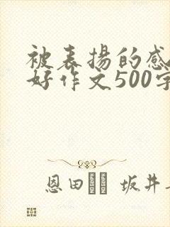 被表扬的感觉真好作文500字作文