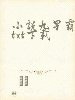 小说九星霸体诀txt下载