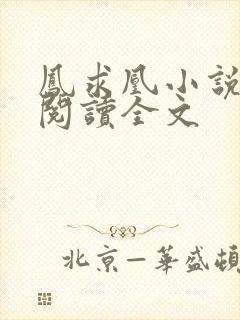 凤求凰小说免费阅读全文