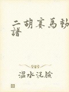 二胡赛马动态曲谱