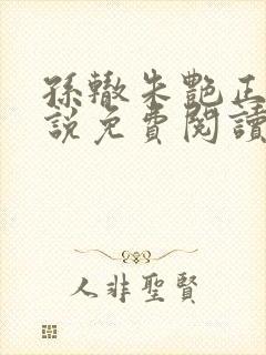 孙辙朱艳正版小说免费阅读封面