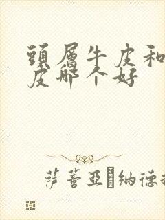 头层牛皮和二牛皮哪个好封面