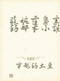 苏婉霍枭寒模仿的哪本小说