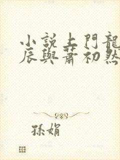 小说上门龙婿叶辰与萧初然