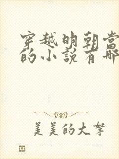 穿越明朝当皇帝的小说有哪些