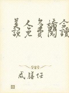 美人多娇合集小说免费阅读封面