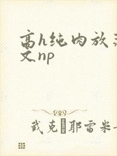 高h纯肉放荡h文np