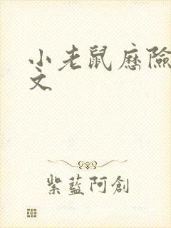 小老鼠历险记作文