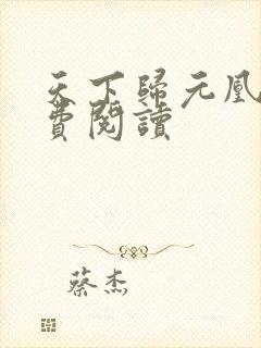 天下归元凰权免费阅读