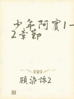 少年阿宾1—72章节