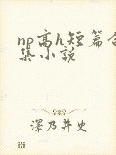 np高h短篇合集小说