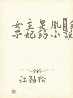 女主是胤礽的太子妃的小说