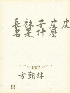 长袜子皮皮的全名是什么封面