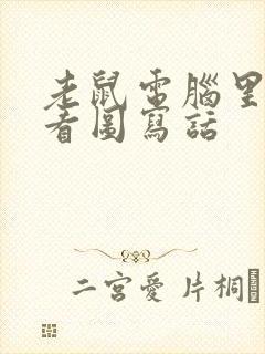 老鼠电脑里的猫看图写话