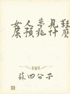 女人梦见鞋子沾屎预兆什么