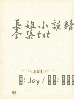 长姐小说精校版全集txt