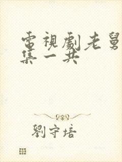 电视剧老舅多少集一共