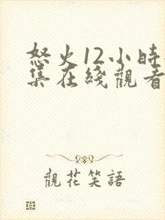 怒火12小时全集在线观看完整版免费