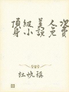 顶级美人次级替身小说免费阅读封面