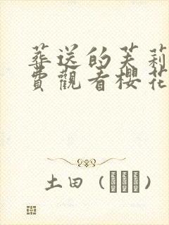 葬送的芙莉莲免费观看樱花动漫封面