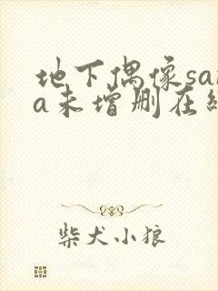 地下偶像sana未增删在线观看