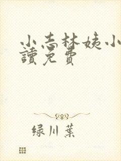 小志林姨小说阅读免费