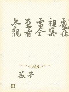 冬至电视剧免费观看全集在线播放