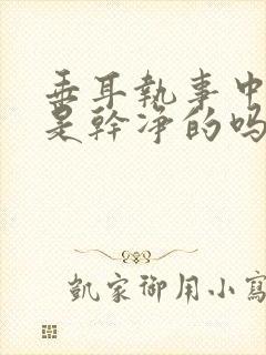 垂耳执事中言逸是干净的吗封面