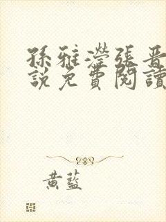 孙雅滢张晋的小说免费阅读无弹窗封面