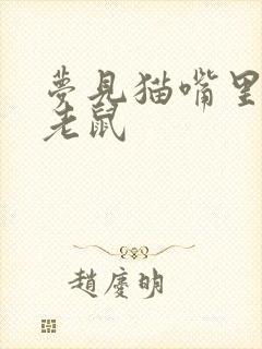 梦见猫嘴里叼着老鼠封面