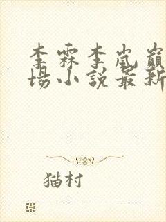 李霖李岚巅峰官场小说最新章节更新