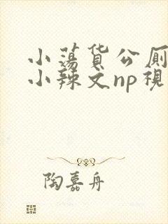 小荡货公厕h文小辣文np视频封面