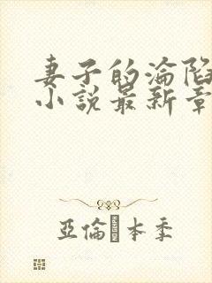 妻子的沦陷曹叔小说最新章节更新时